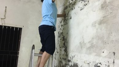 tường dán xốp muốn bóc ra sơn